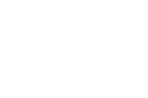 inbev